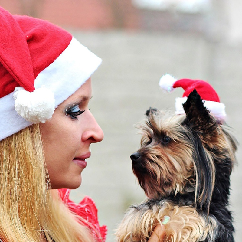 1-20PCS Christmas Pet Santa Ha - Santa Hat Plush incelemesi ve fiyatı