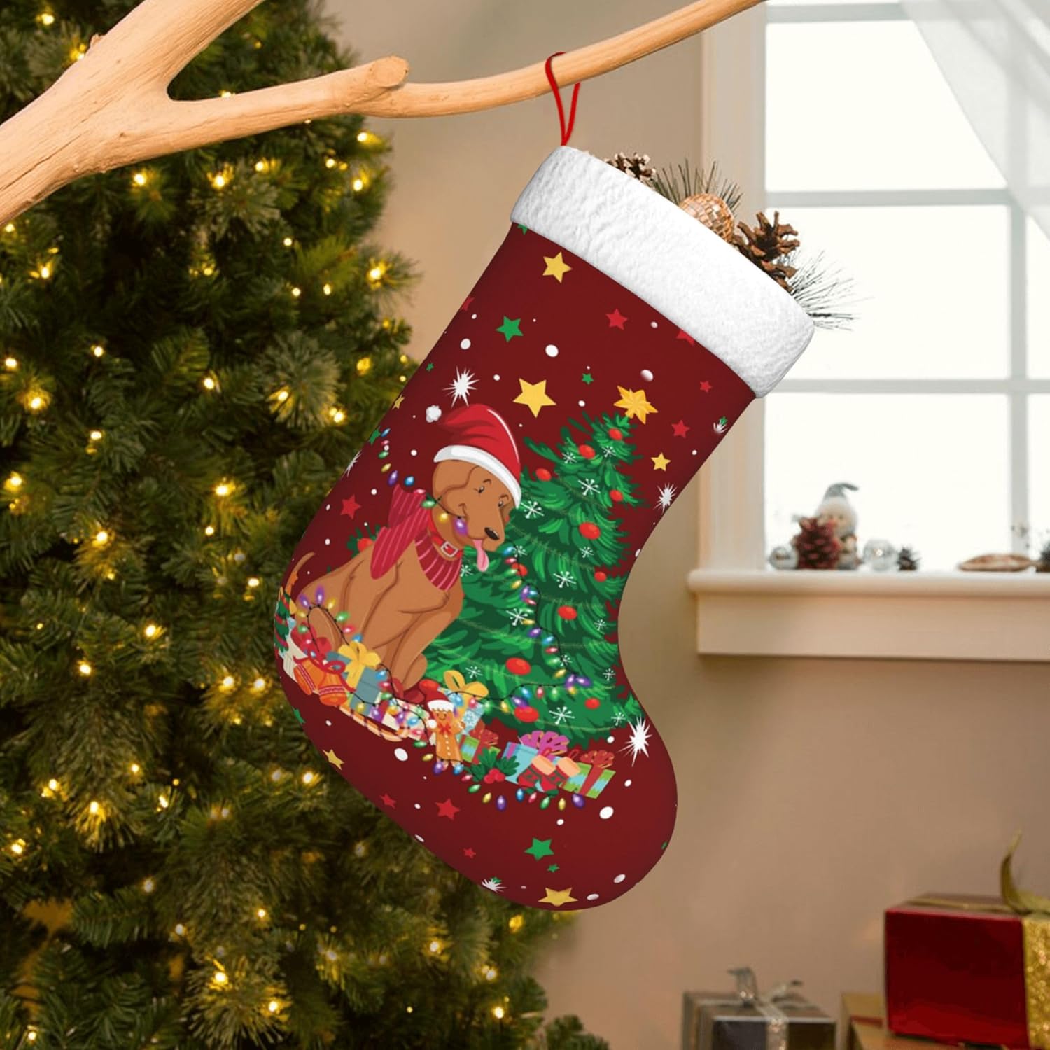 Christmas Dog Light Design 17. - Christmas Stocking Hanging incelemesi ve fiyatı